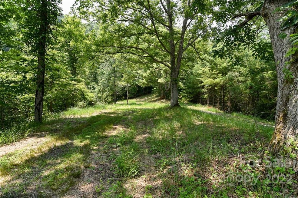 Lot 13 the Vines Blvd unit Lot 13, Marshall, NC 28753 - photo 1