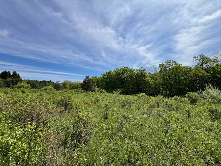 For Sale $79,900 • Co-Listing Agent