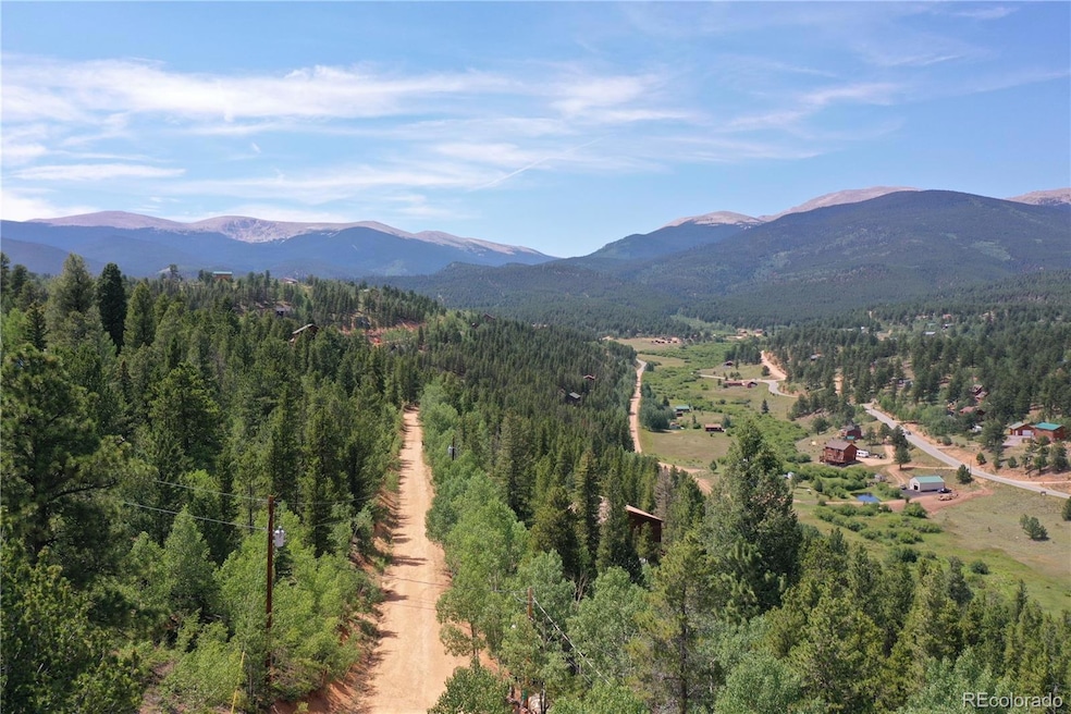 272, 298 & 310 Wise Rd, Bailey, CO 80421 - photo 1