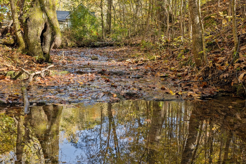 7489 Shoals Branch Rd, Primm Springs, TN 38476 - photo 1