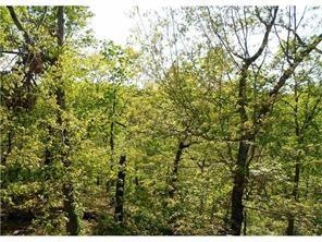 0 Dingwall Ln unit 1053917, Bella Vista, AR 72715 - photo 1