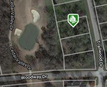 17003 Trailwood Dr, Whitney, TX 76692 - photo 1