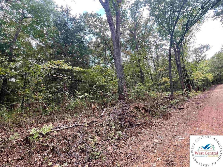 22070 County Rd 254l Rd unit Lots 23, 24, 25 & 26, Wheatland, MO 65779 - photo 1