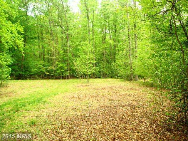 0 Elliott Ln unit 1002981990, Stafford, VA 22554 - photo 1