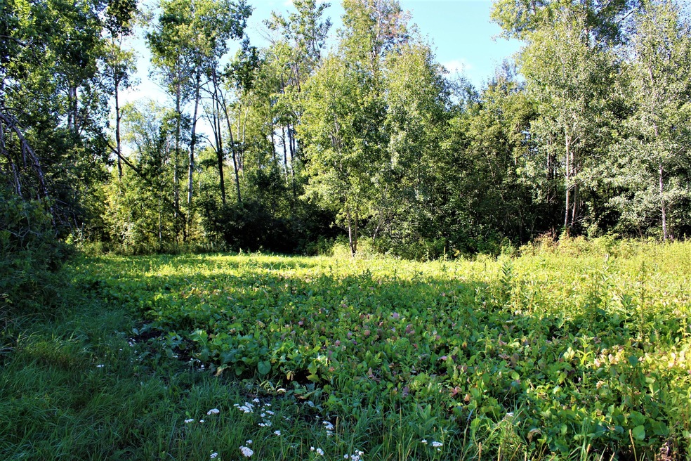 0 VL Binder Rd, Sherman Township, MI 48748 - photo 1