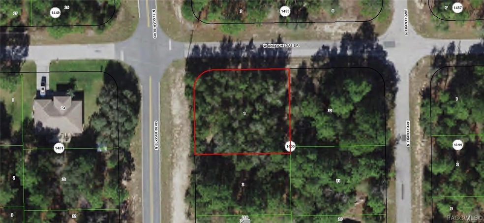 Corner Lot 1/3 of an acre