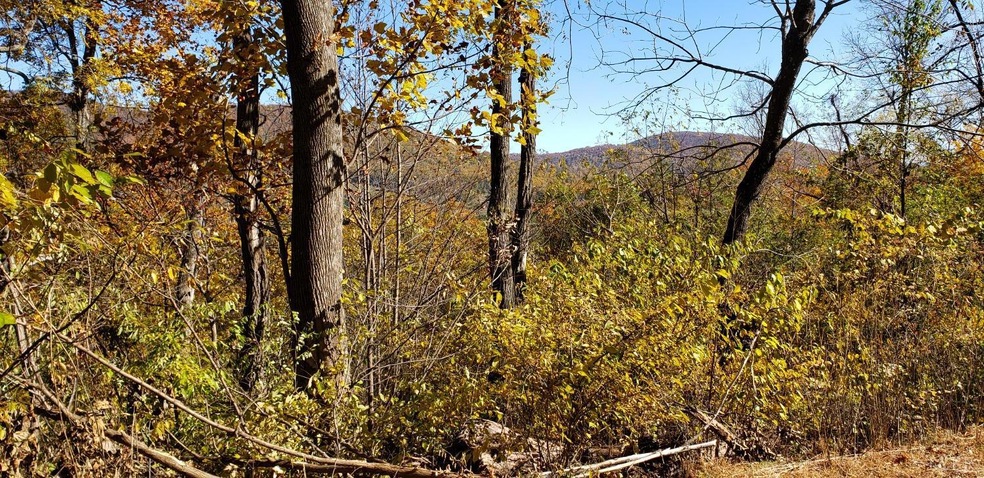 0 Lexington Turnpike unit 342098, Oronoco, VA 24521 - photo 1