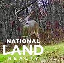 For Sale $1,450,000