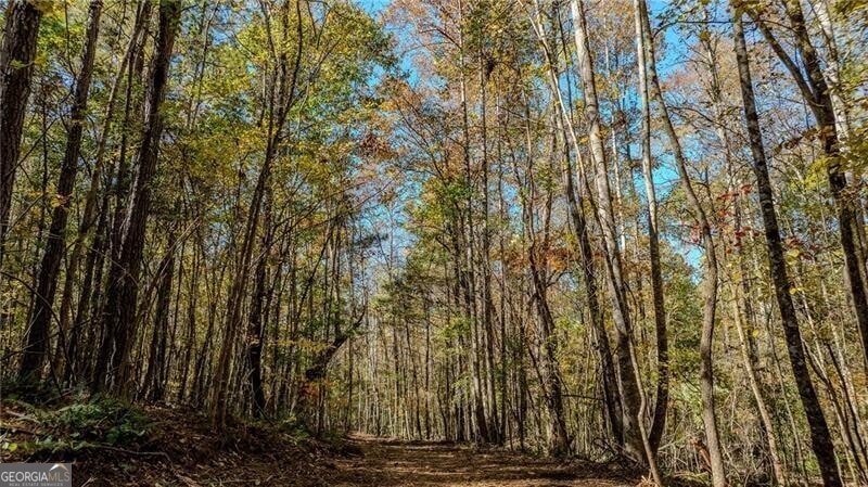 0 Jones Ferry Rd unit 3, Palmetto, GA 30268 - photo 1