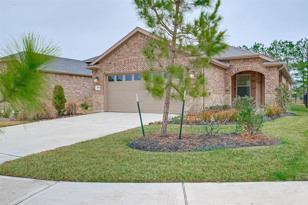 261 Flaxen Chestnut, Spring, TX 77382 - photo 1