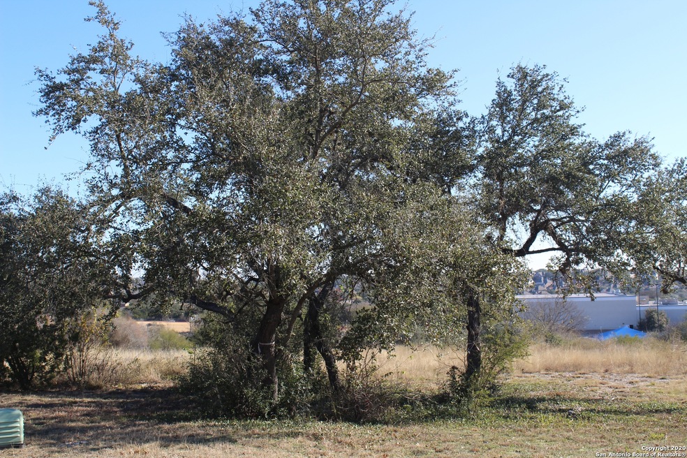 21606 Roan Chase, San Antonio, TX 78259 - photo 1