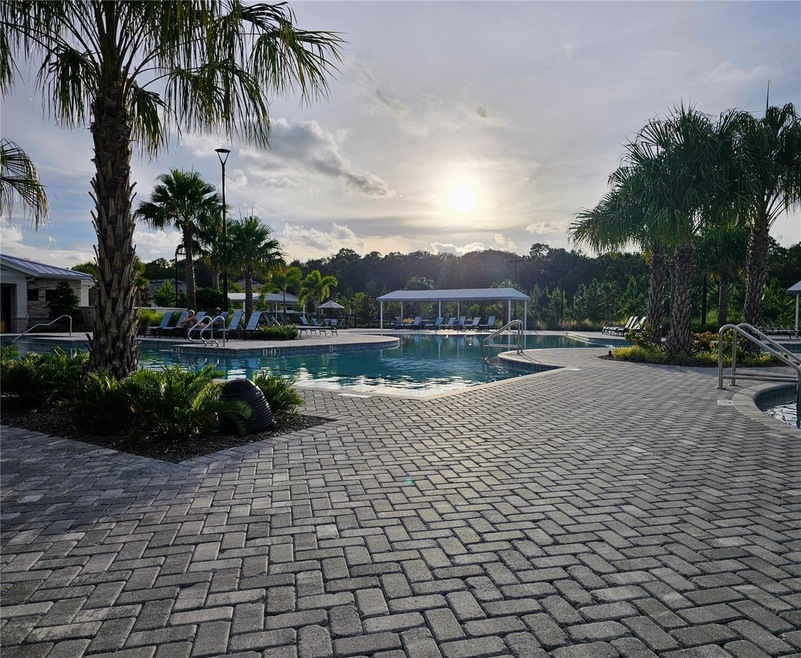 16890 Forge Surf St, Land O' Lakes, FL 34638 - photo 1