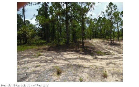 372 Sun Ave, Lake Placid, FL 33852 - photo 1