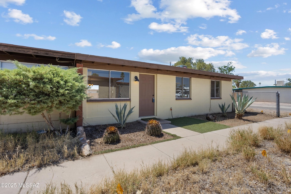 1_3994 s evergreen-19