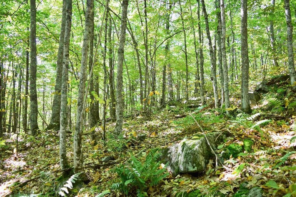 Maine Land for Sale in Frankfort, Maine