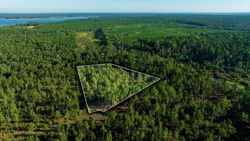 24398 Lot 17 Fm 3173, Broaddus, TX 75929 - photo 1