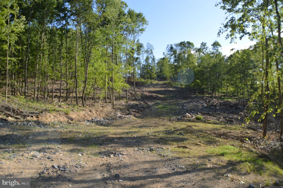 0 Deep Spring Rd unit WVGT102864, Dorcas, WV 26847 - photo 1