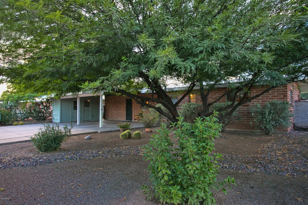 Front Yard