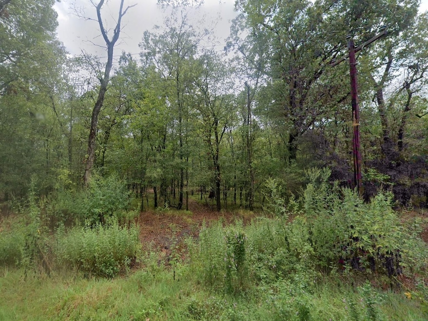 Private Road 4422, Dayton, TX 77535 - photo 1