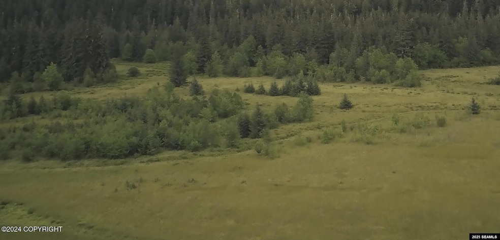 A4 Knig Slough Legal Address Only, Wrangell, AK 99929 - photo 1