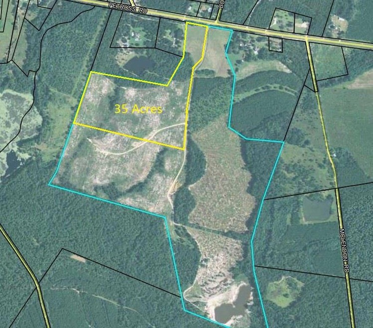 00 Petross Rd, Ailey, GA 30410 - photo 1