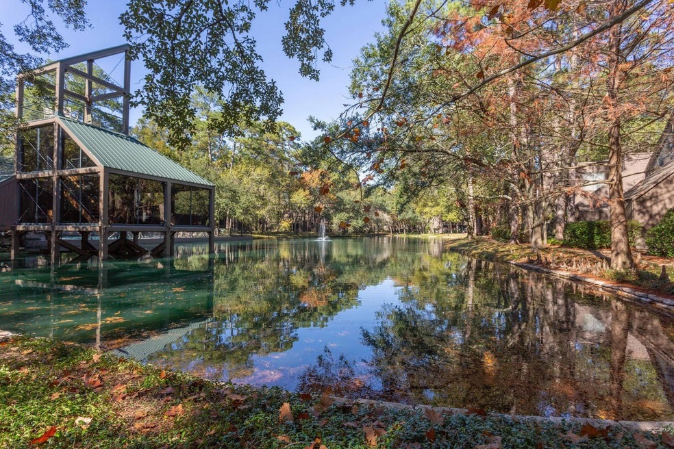 268 Litchfield Ln, Houston, TX 77024 - photo 1