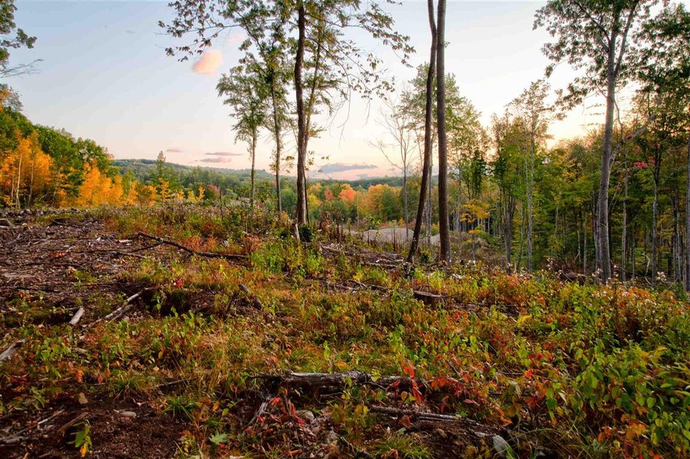 00 Hill Rd unit M:12 B10 L:B, Alstead, NH 03602 - photo 1