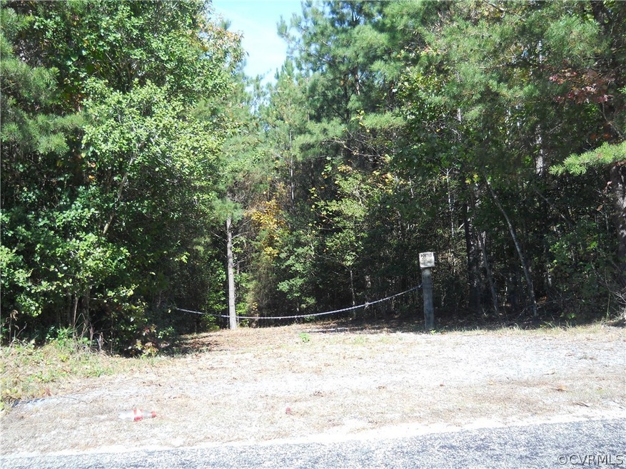 0 Mussel Swamp Rd unit 1833171, Tappahannock, VA 22560 - photo 1