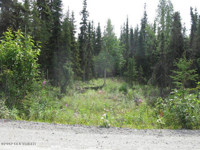 Main Photo 1/Road View