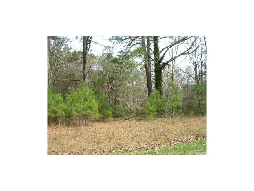 481 Grady Whitton Rd, Bremen, GA 30110 - photo 1