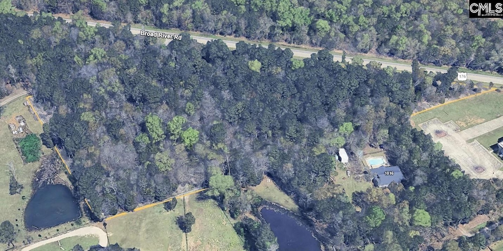 11437 Broad River, Chapin, SC 29036 - photo 1