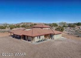 Front exterior drone
