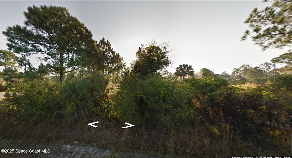 2801 Lakeland Ave SW, Palm Bay, FL 32908 - photo 1