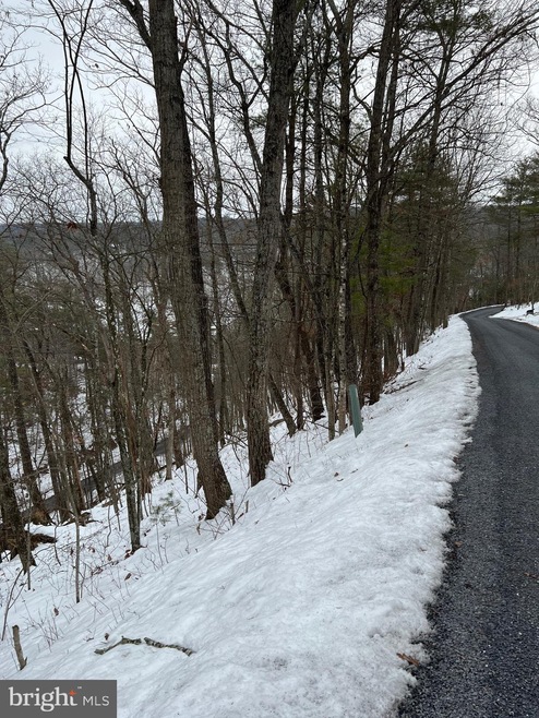 0 Lee Rd- Lot 102 Sec 9 unit VASH2002202, Basye, VA 22810 - photo 1