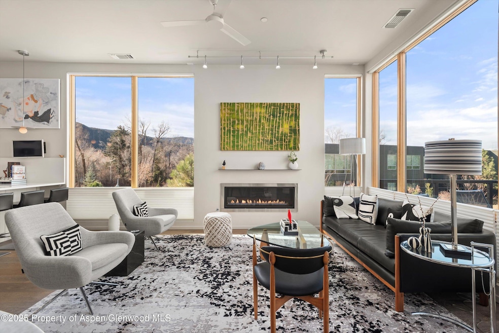 103 Willits Way unit 204, Basalt, CO 81621 - photo 1