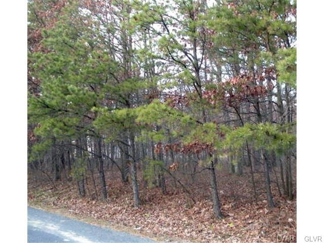 0 Dew Drop Dr unit 421090, Out of County, PA 18229 - photo 1