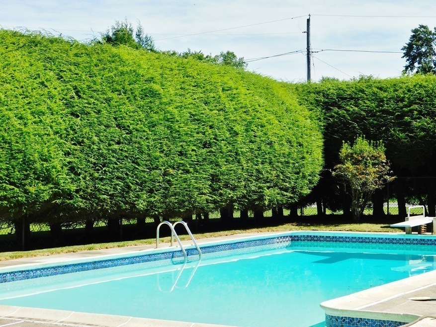 2 Herrick Place, Wilbraham, MA 01095 - photo 1