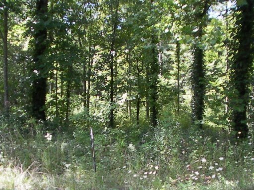 0 Troy Cir, Crossville, TN 38555 - photo 1