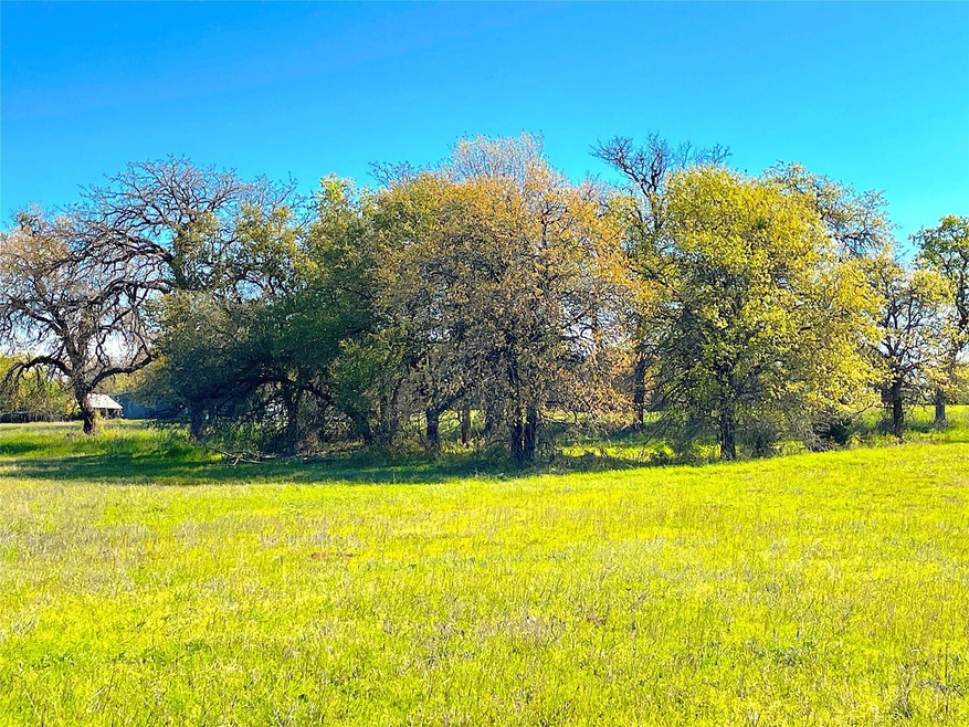TBD (B) Roble Ct, Weatherford, TX 76088 - photo 1