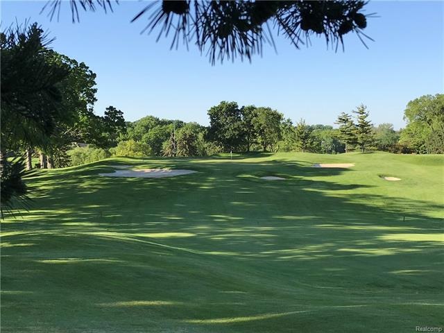 18 green.JPG