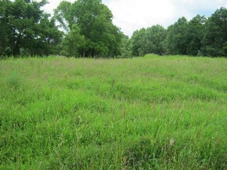 1354 Birdie Rd, Lawrenceburg, KY 40342 - photo 1