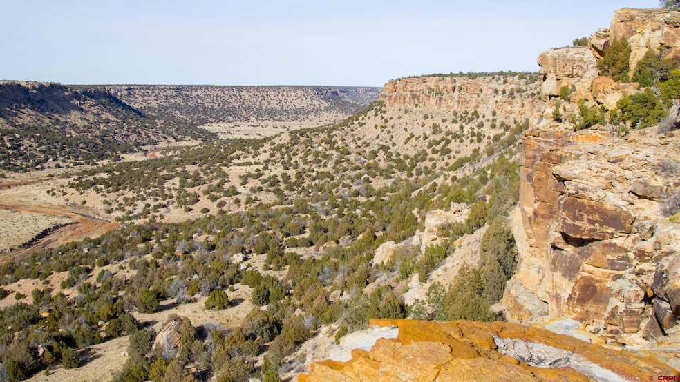 000 County Road 40 2 unit Poitry Canyon Ranch, Branson, CO 81027 - photo 1