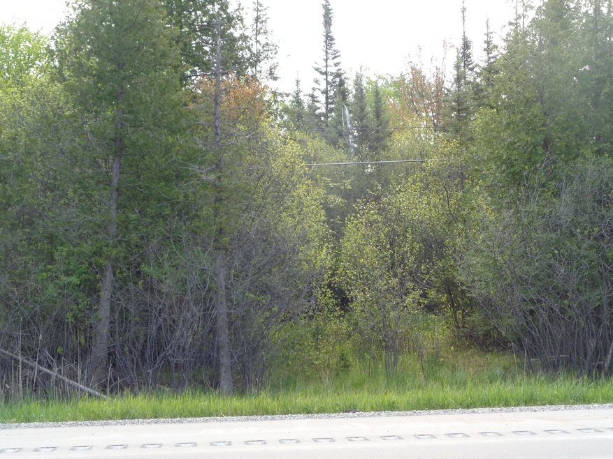 NHN S US 23