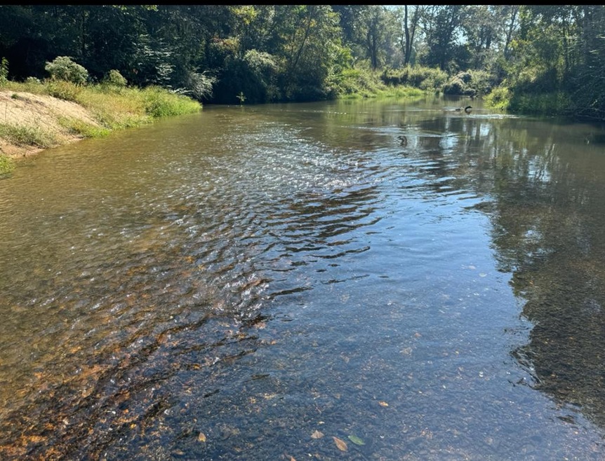 unlisted-address, Osyka, MS 39656 - photo 1