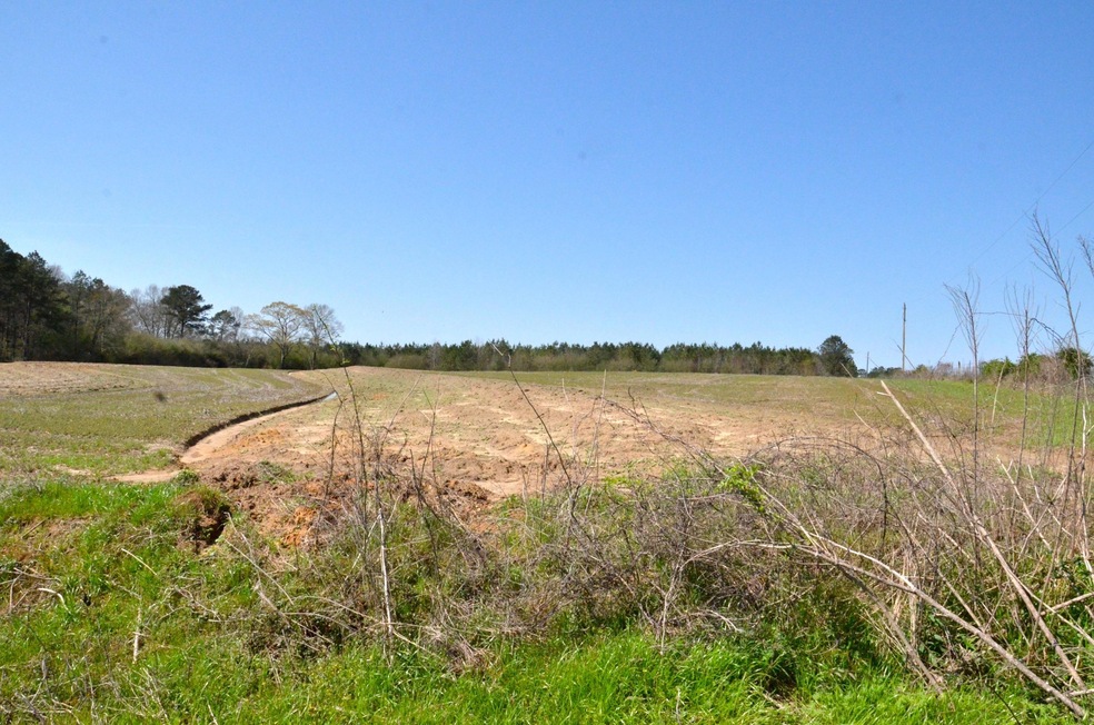 Hickory Grove