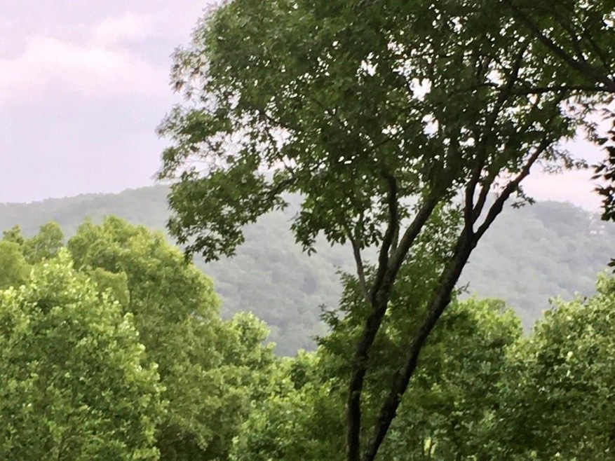 1200 Quail Cove Dr, Jasper, GA 30143 - photo 1