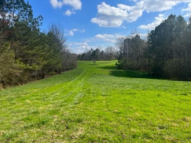 View of grassy yard featuring a view of rural / pastoral area and a view of trees