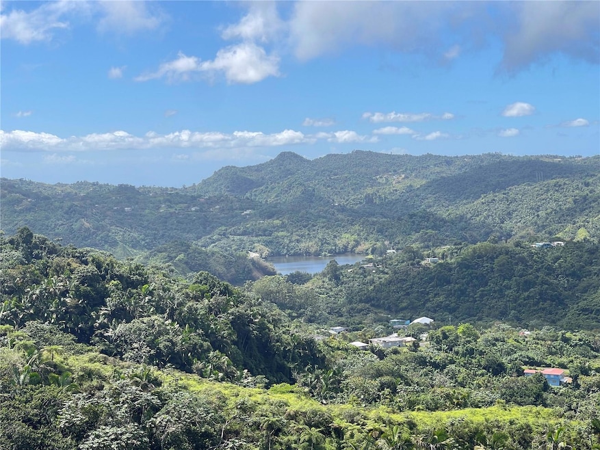 View of Lake Garzas
