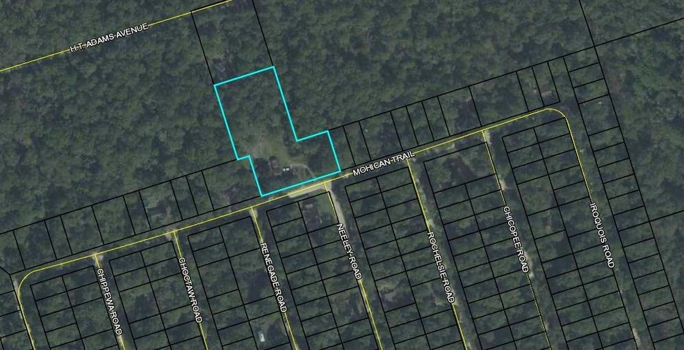 58 Mohican Trail, Crawfordville, FL 32327 - photo 1