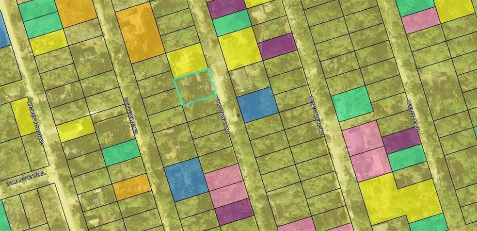 xxx Choctaw Rd, Crawfordville, FL 32327 - photo 1